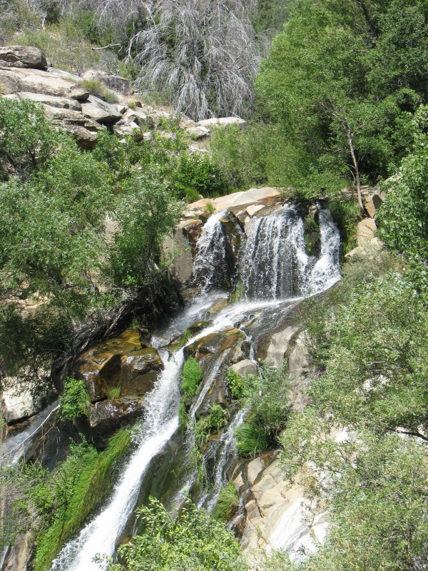Frandy Park Campground