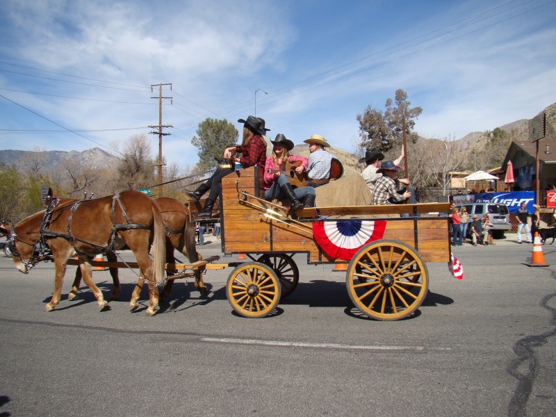 Horse Carriage Frandy Park Campground