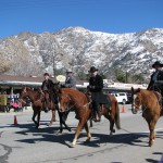 Horse walk Christmas Time