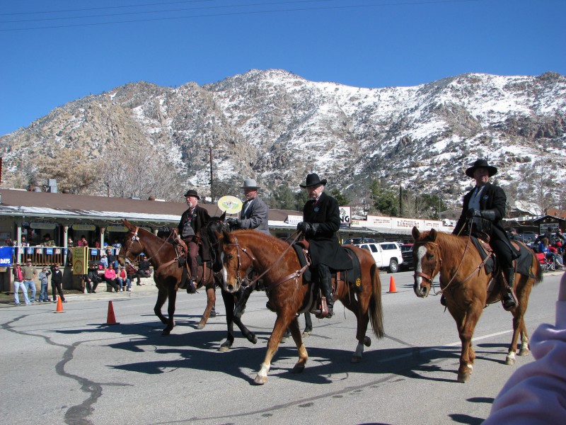 Horse walk Christmas Time