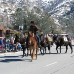 Horse Walk Parade Frandy Park Campground