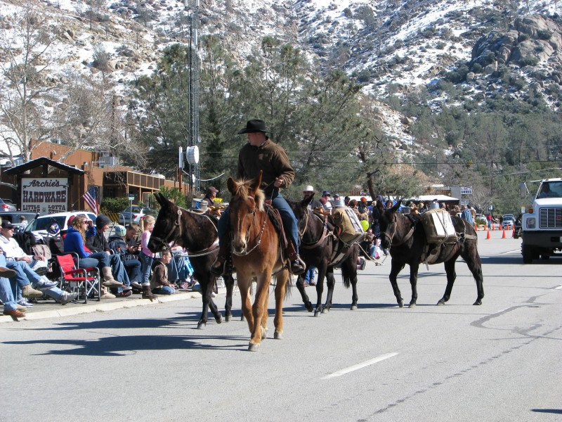 Horse Walk Parade Frandy Park Campground