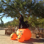 halloween decorations Frandy Park Campground