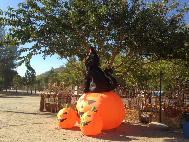 halloween decorations Frandy Park Campground