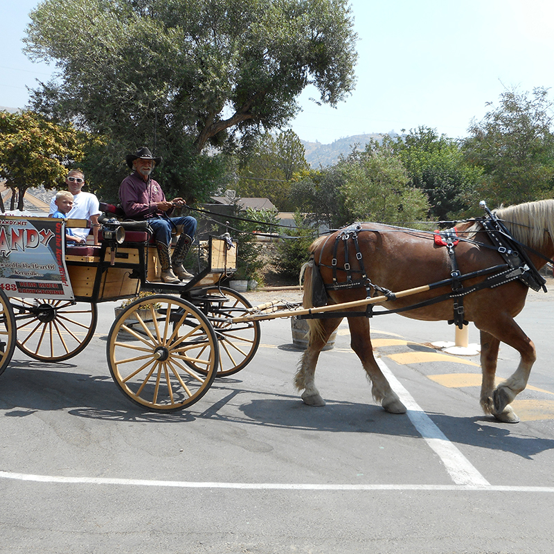 Horse Carriage riding Frandy Park Campground