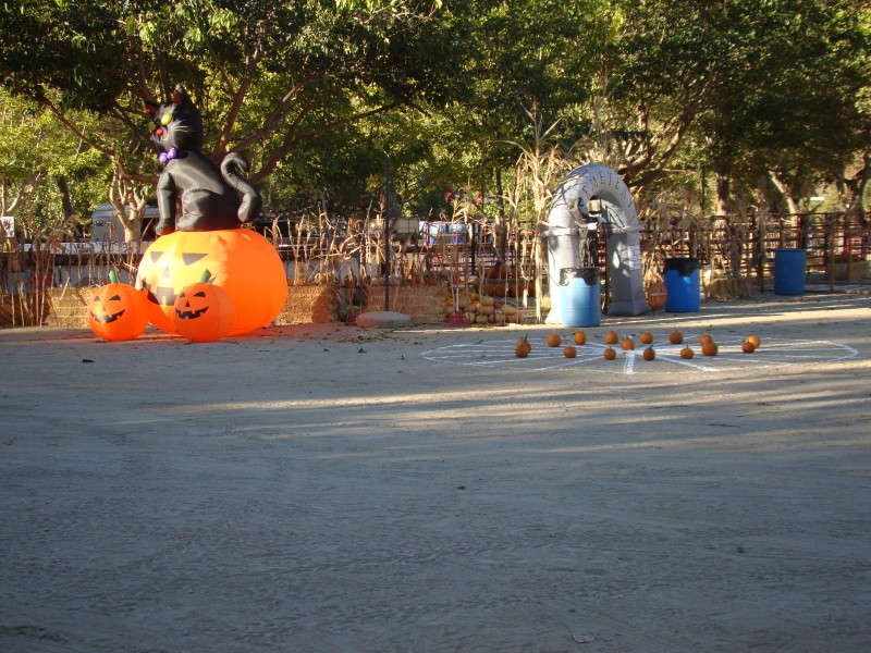 Halloween Frandy Park Campground