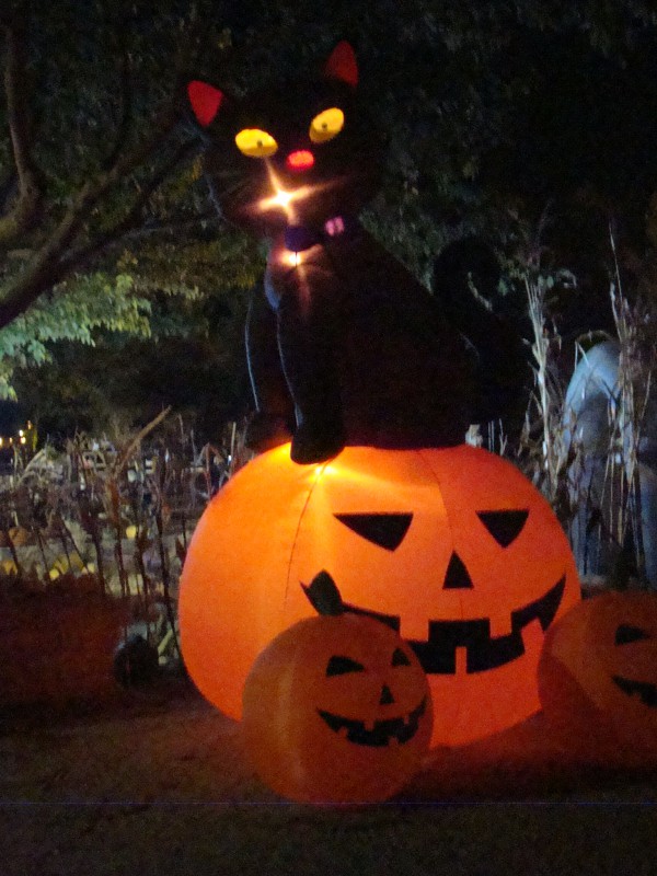 Holloween decarations Frandy Park Campground