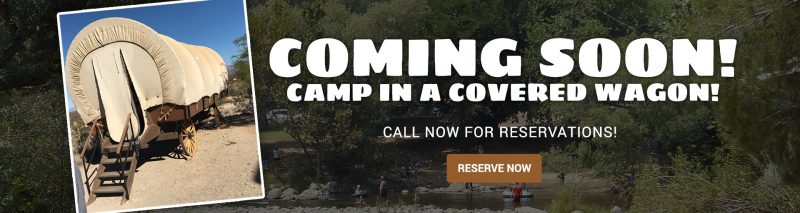 Coming Soon! Camp in a covered Wagon