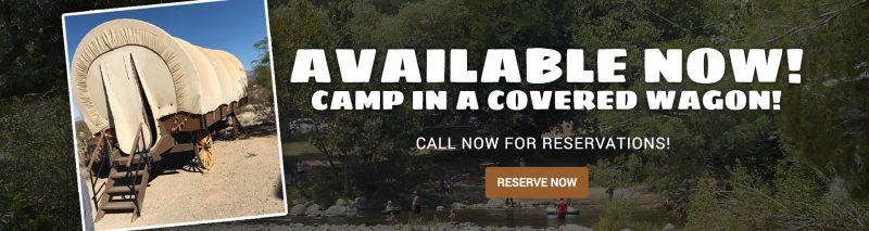 Available Now! Camp in a covered Wagon